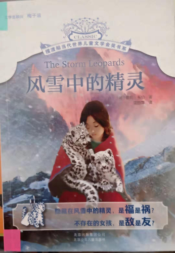 风雪中的精灵.jpg