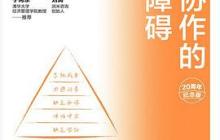 团队协作的五大障碍读后感2000字